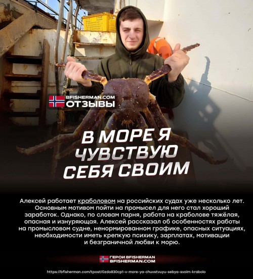 bfishg_126135.jpg