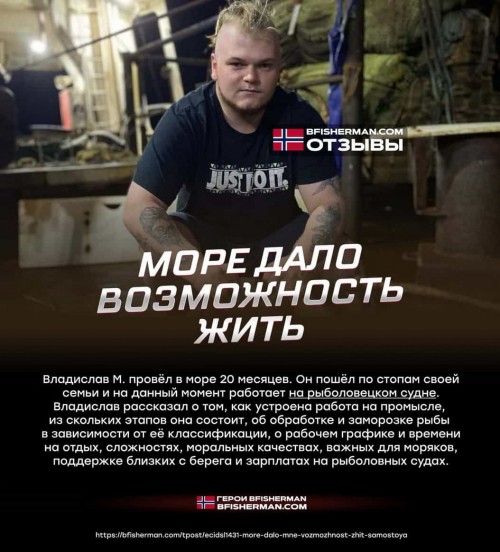 bfishg_238959.jpg